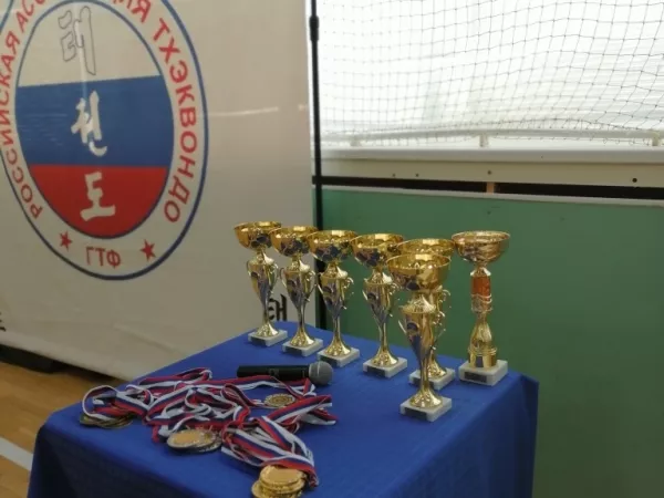 Турнир на Кубок Дворца спорта "Норд" по тхэквондо_28
