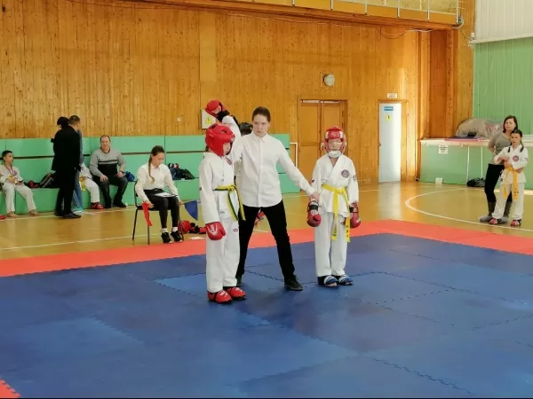 Турнир на Кубок Дворца спорта "Норд" по тхэквондо_20