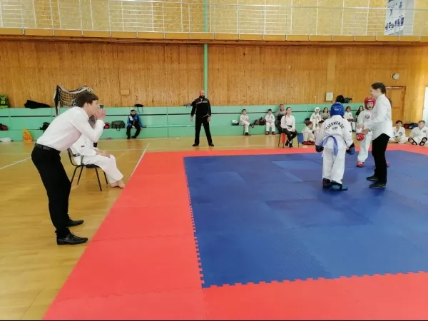 Турнир на Кубок Дворца спорта "Норд" по тхэквондо_16