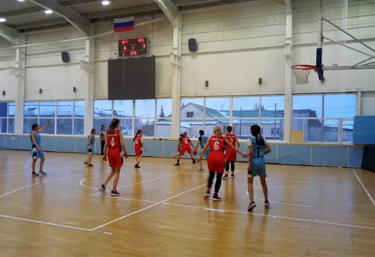 Окружной отборочный этап Чемпионата ШБЛ 