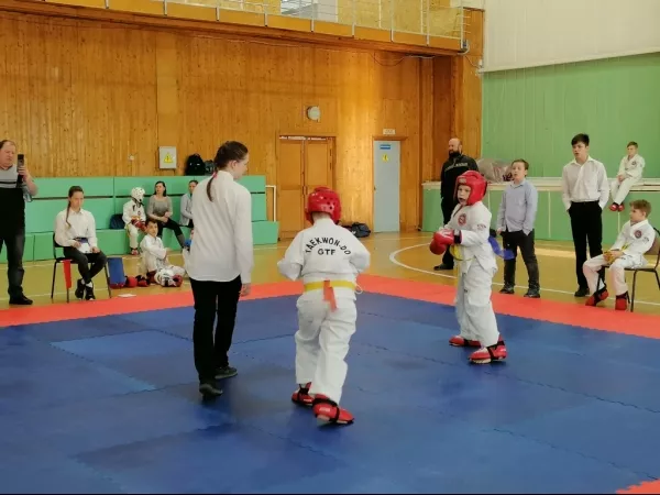 Турнир на Кубок Дворца спорта "Норд" по тхэквондо_14