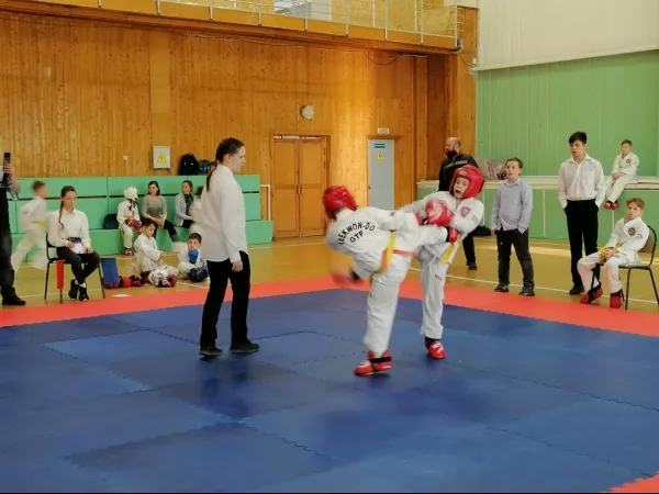 Турнир на Кубок Дворца спорта "Норд" по тхэквондо_15