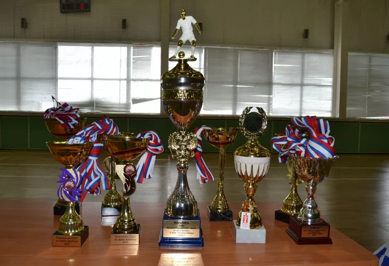 Чемпионат и Первенство  НАО по мини-футболу сезона 2014-2015 года.