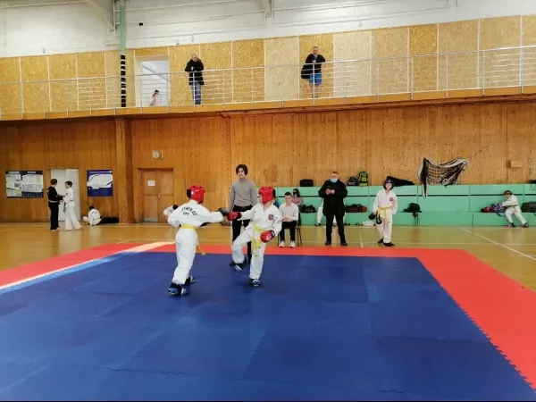 Турнир на Кубок Дворца спорта "Норд" по тхэквондо_11