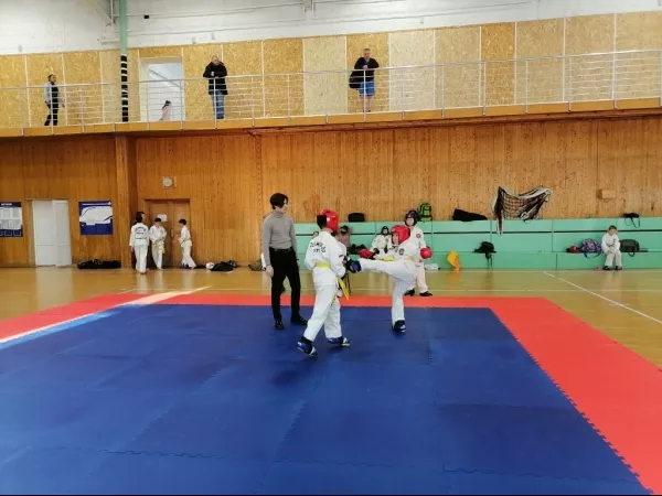 Турнир на Кубок Дворца спорта "Норд" по тхэквондо_10