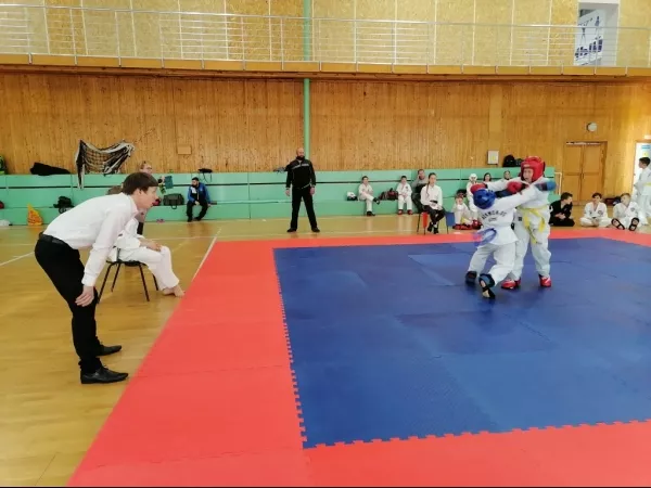 Турнир на Кубок Дворца спорта "Норд" по тхэквондо_18