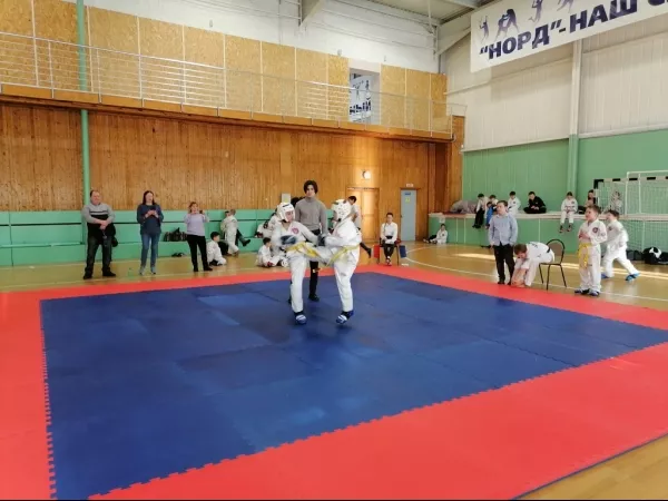 Турнир на Кубок Дворца спорта "Норд" по тхэквондо_3