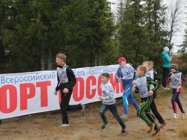 Всероссийский день бега «Кросс наций». 2015_9