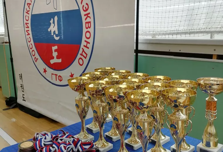 Турнир на Кубок Дворца спорта 