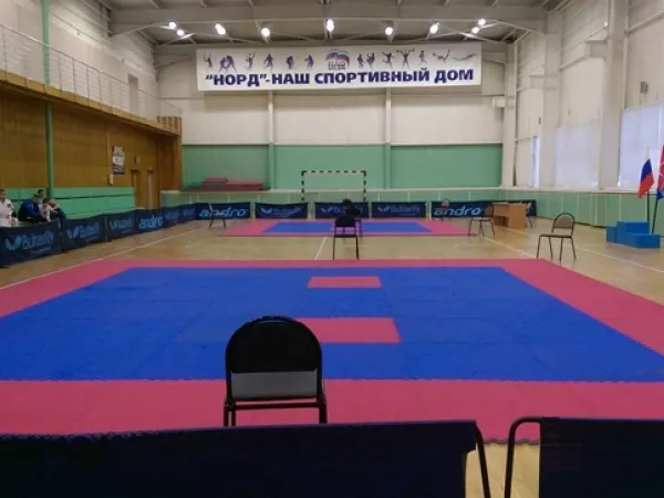 Первенство Ненецкого автономного округа по тхэквондо (ВТФ)_2